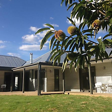 3 Bells Alpine Cottage ไบรท์ ภายนอก รูปภาพ
